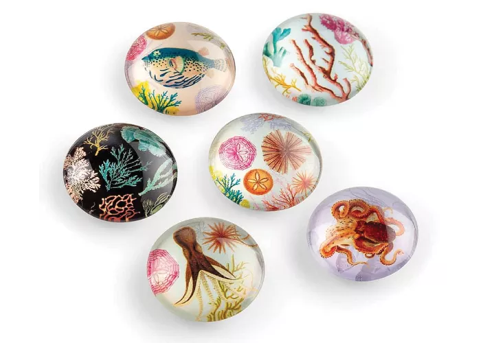Epoxy Fridge Magnet