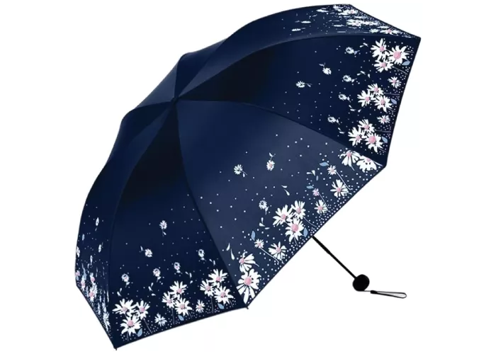 Foldable Umbrella