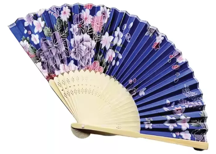 Printed Hand Fan
